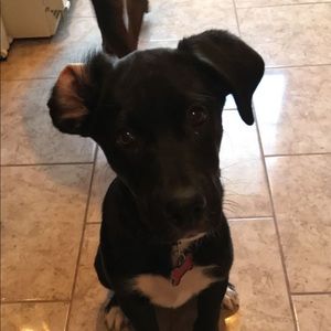 Meet your Posher, Meagan